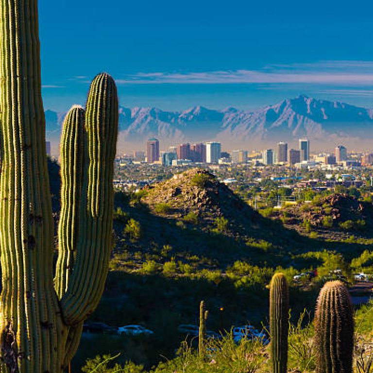 Midtown Phoenix skyline with several cacti and desert hills in the foreground.